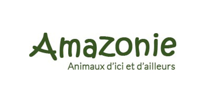 AMAZONIE, Logistique multicanal